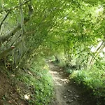度假居 Maison Entiere Ardenne Bleue Olne