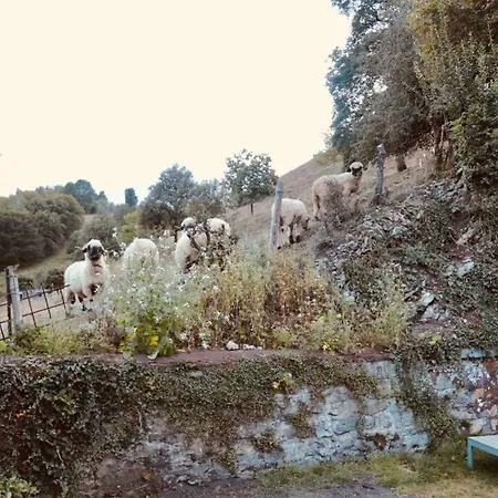 Happy Place Tatil Evi