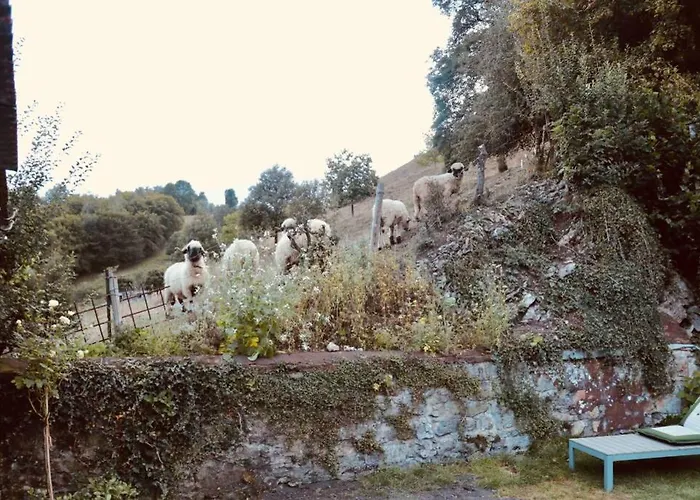 Happy Place Nyaraló