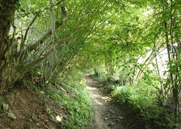 Nyaraló Happy Place Olne